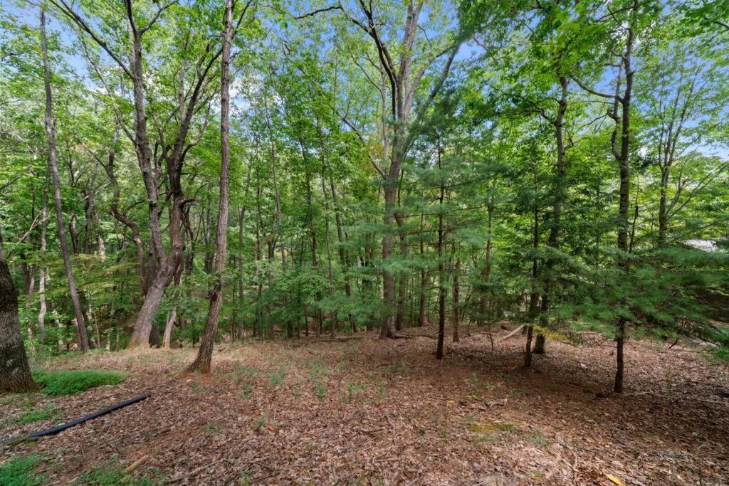 Cozy Bear Getaway Villa Marble Hill Exterior photo